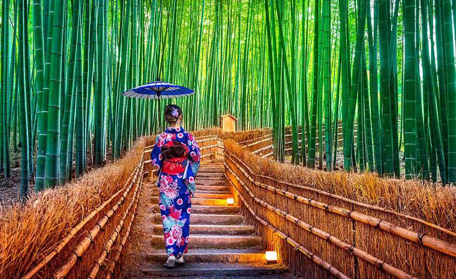 Kyoto · Tokyo, Japon
